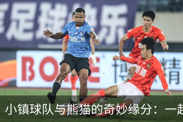 小镇球队与熊猫的奇妙缘分：一起逆袭德甲的故事
